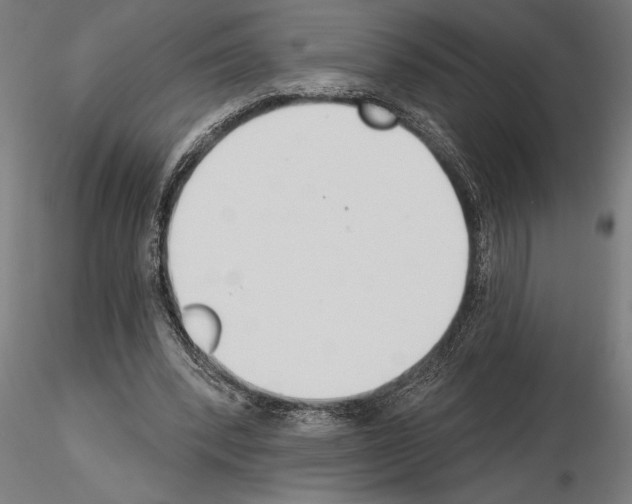 X0000115250392200912111122