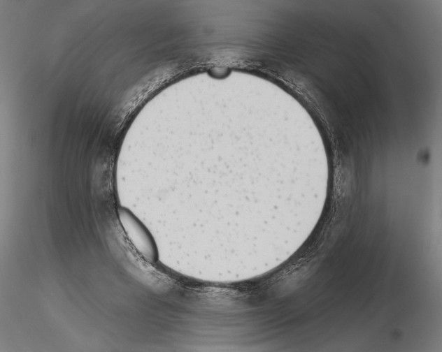 X0000115250393200912111122