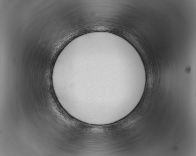 X0000115250394200912111121