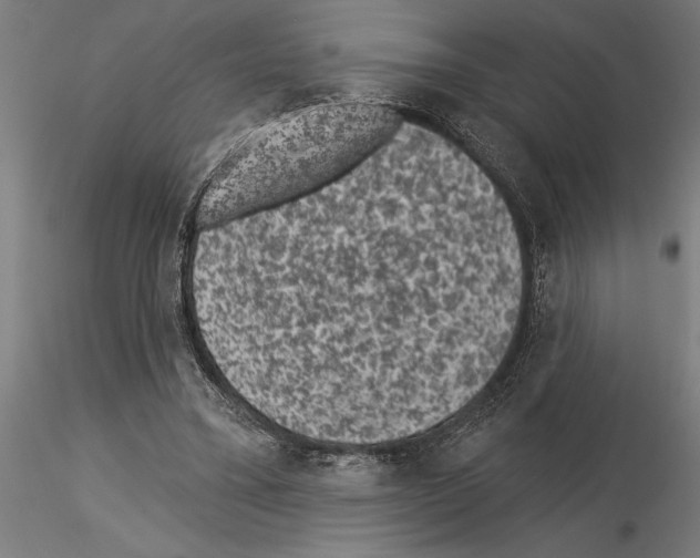X0000115250395200912111121