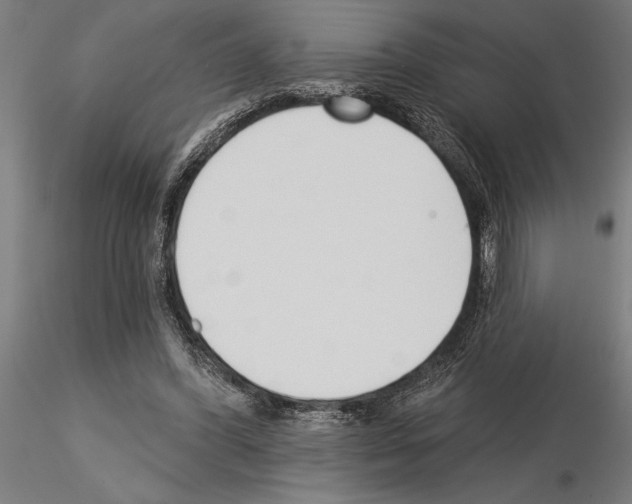 X0000115250396200912111121