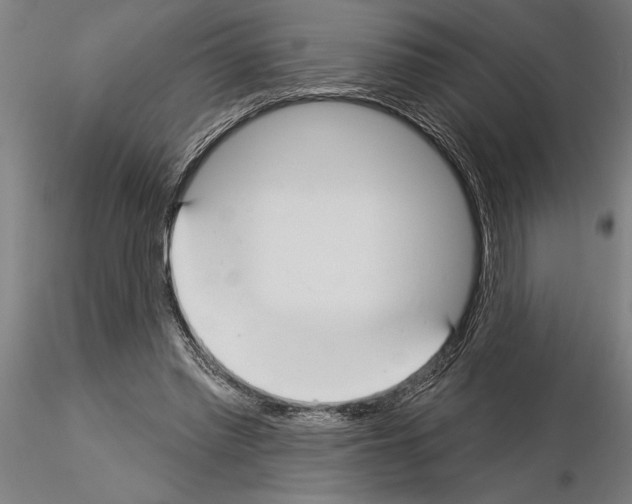 X0000115250397200912111121
