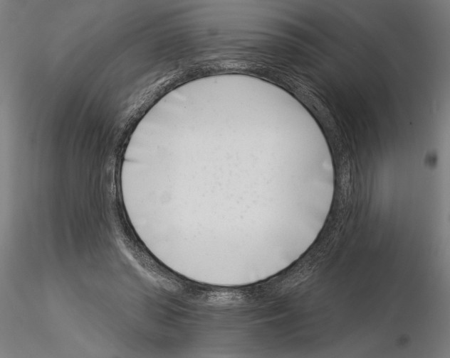 X0000115250398200912111121