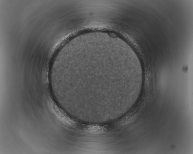 X0000115250399200912111121