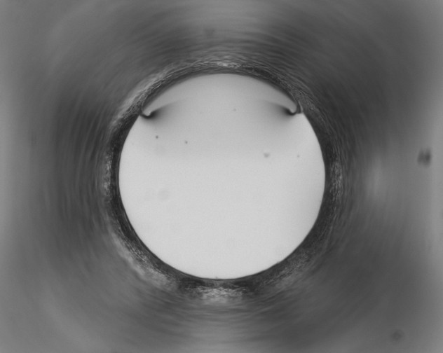 X0000115250400200912111121