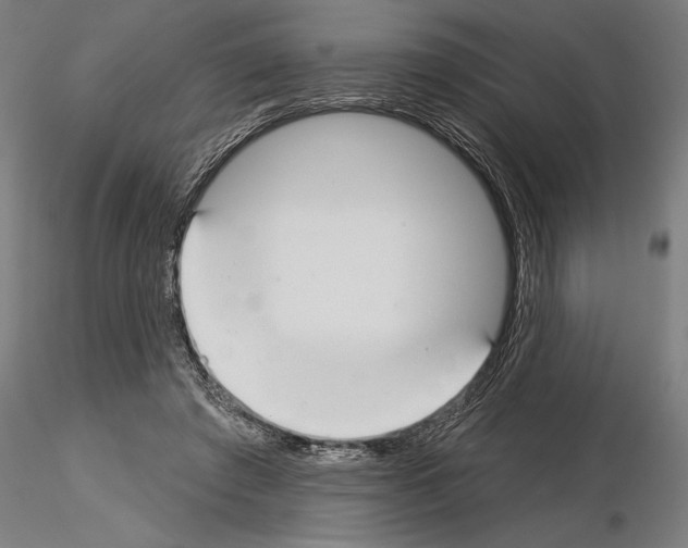 X0000115250401200912111121