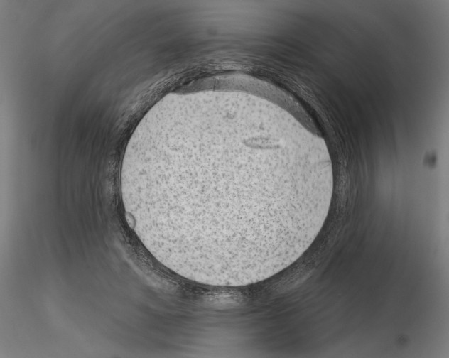 X0000115250402200912111121