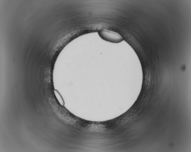 X0000115250403200912111121