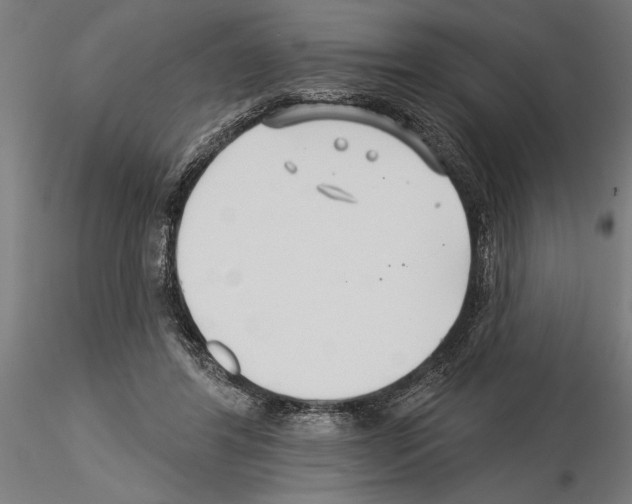 X0000115250404200912111121