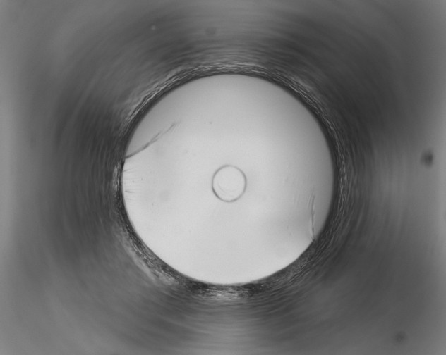 X0000115250405200912111121
