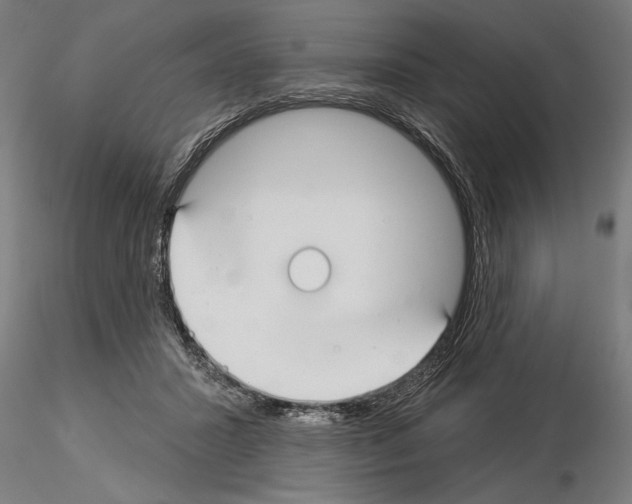 X0000115250407200912111121