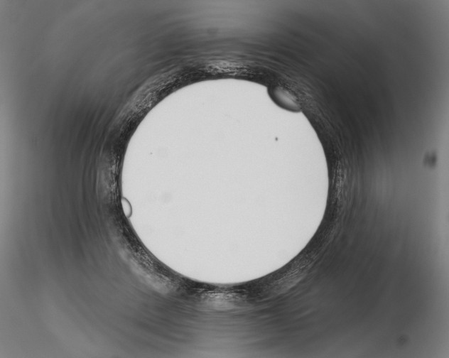 X0000115250408200912111121