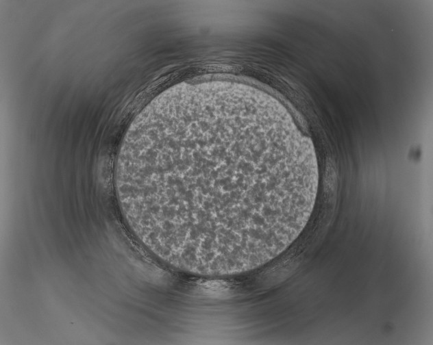 X0000115250409200912111121