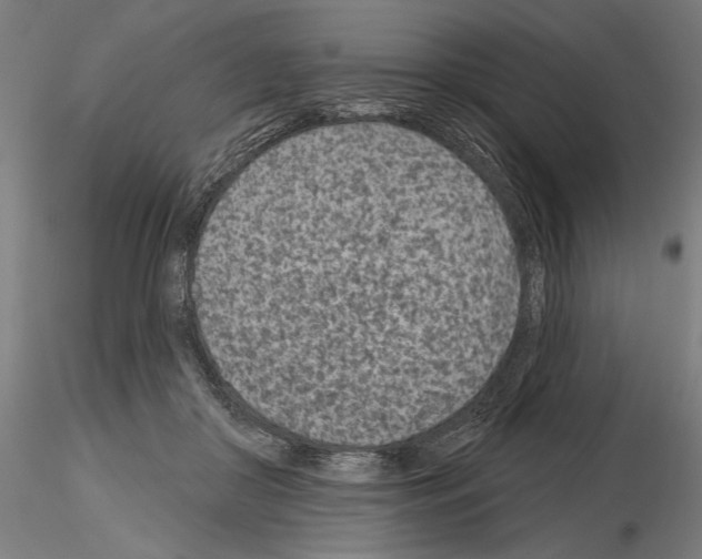 X0000115250410200912111121