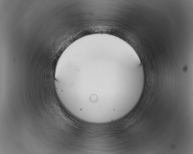 X0000115250411200912111121