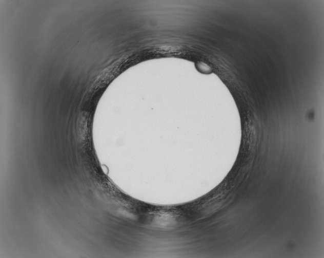 X0000115250412200912111121