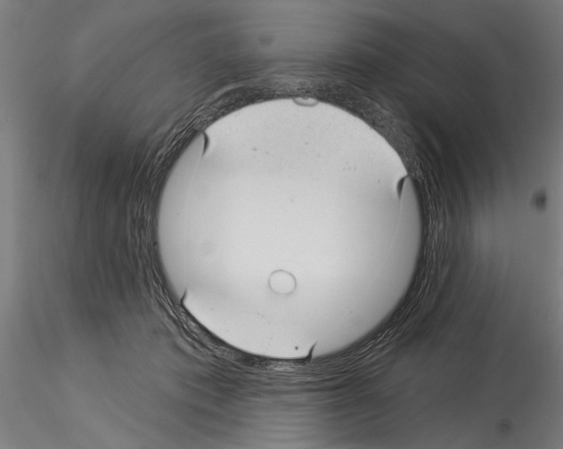 X0000115250413200912111121