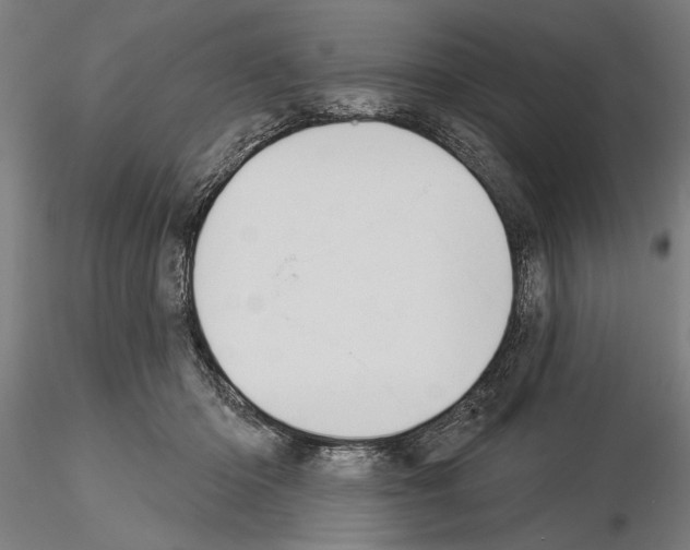X0000115250414200912111121