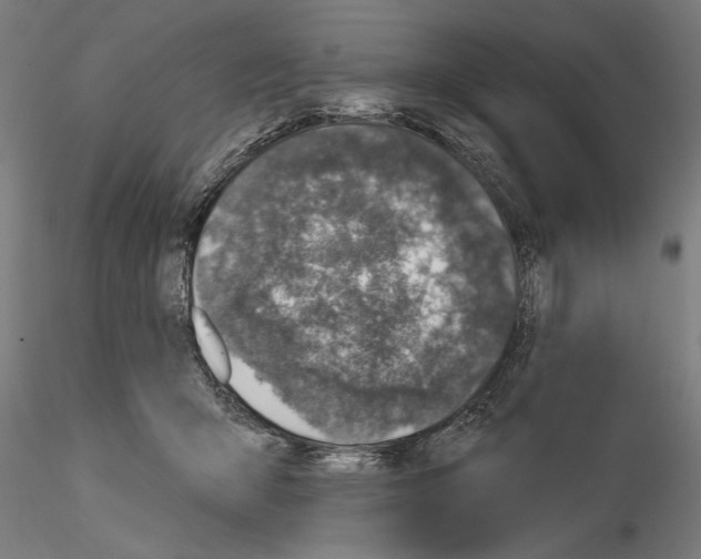 X0000115250415200912111121