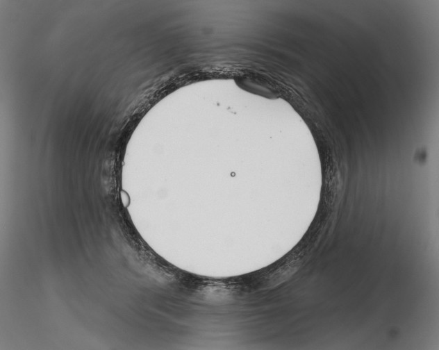 X0000115250416200912111121