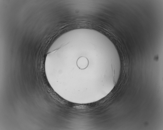 X0000115250417200912111121