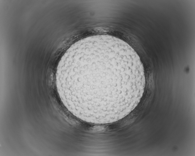 X0000115250418200912111121
