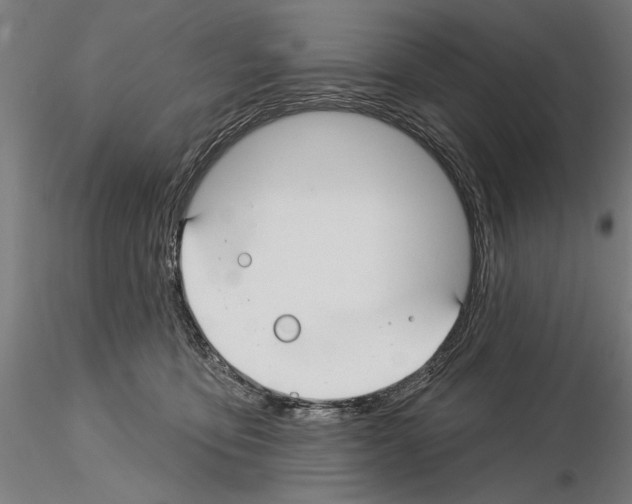 X0000115250419200912111121