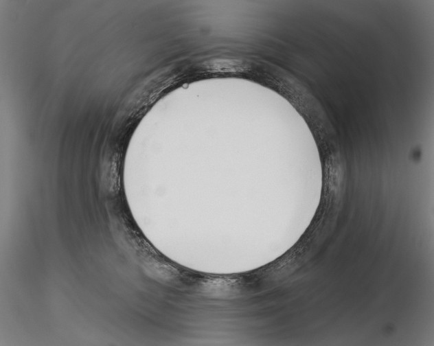 X0000115250422200912111121