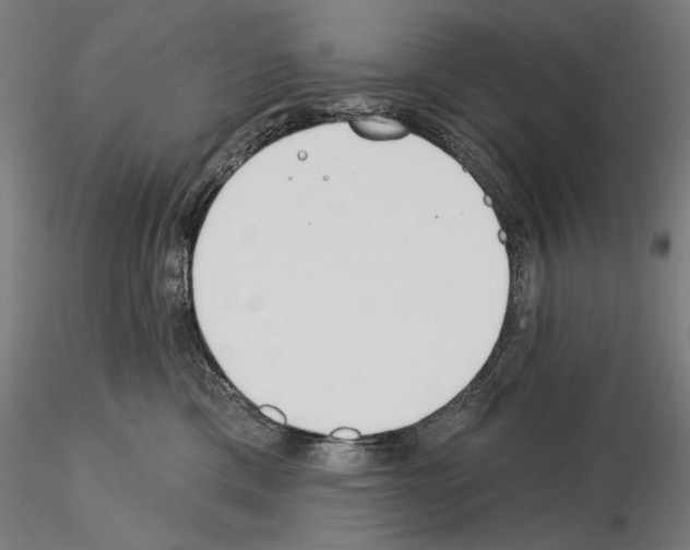 X0000115250425200912111121