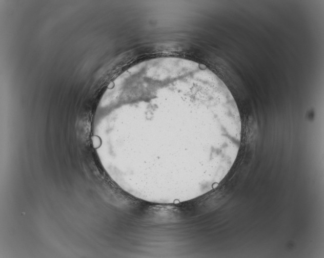 X0000115250427200912111121