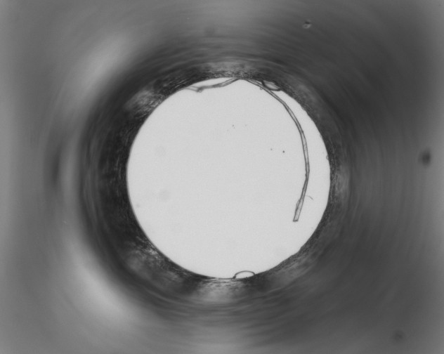 X0000115250429200912111121