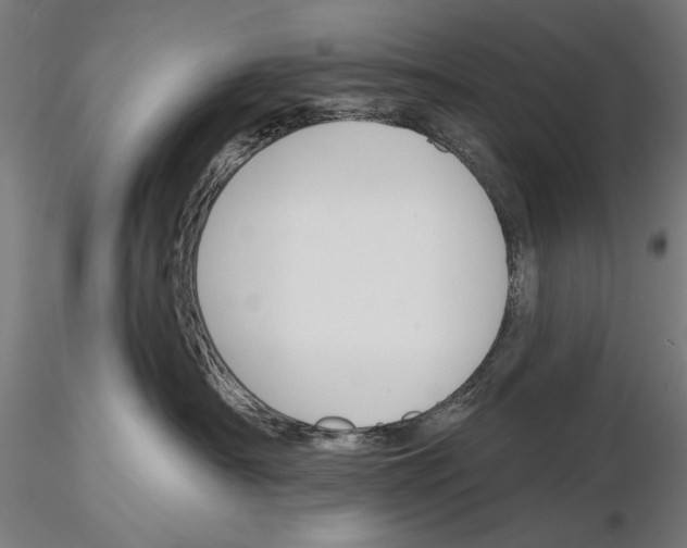 X0000115250430200912111121