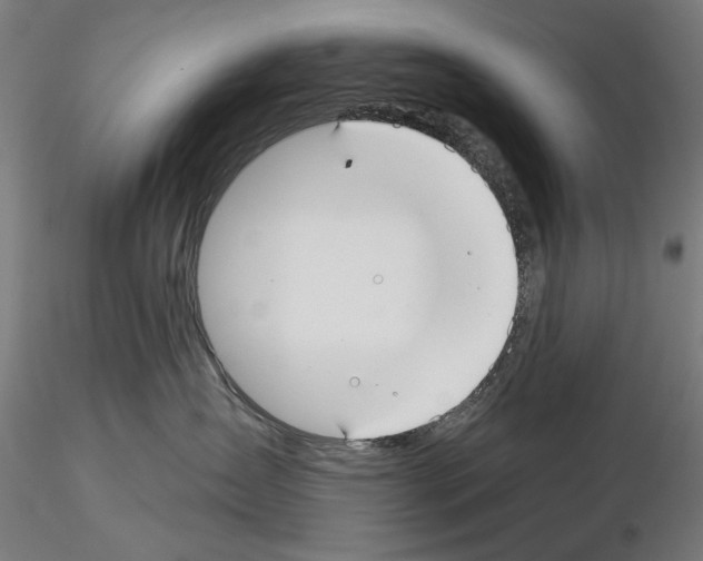 X0000115250431200912111121