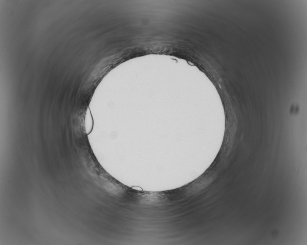 X0000115250432200912111121