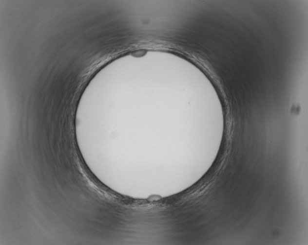 X0000115250433200912111120