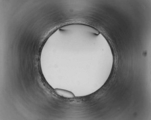 X0000115250434200912111120