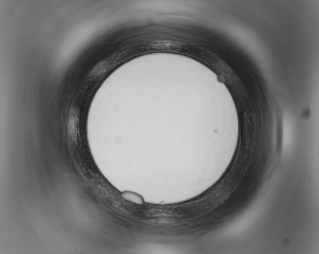 X0000115250435200912111120