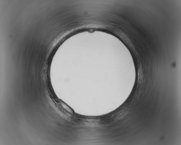 X0000115250436200912111120