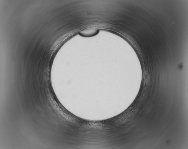 X0000115250437200912111120