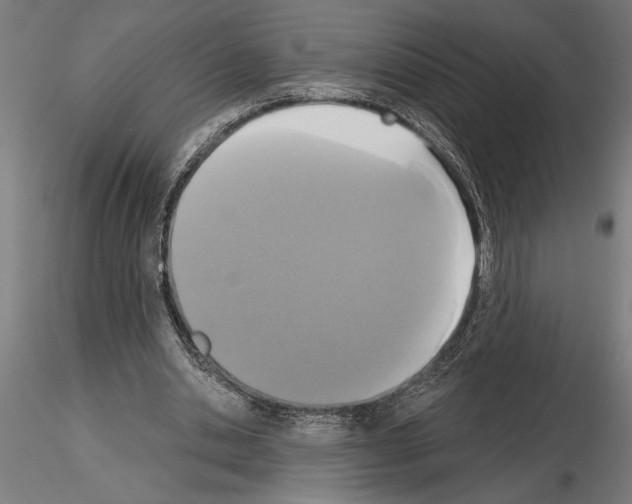 X0000115250438200912111120