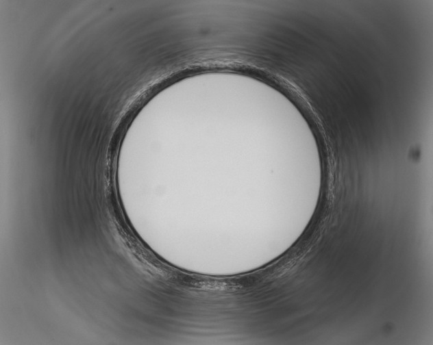 X0000115250439200912111120