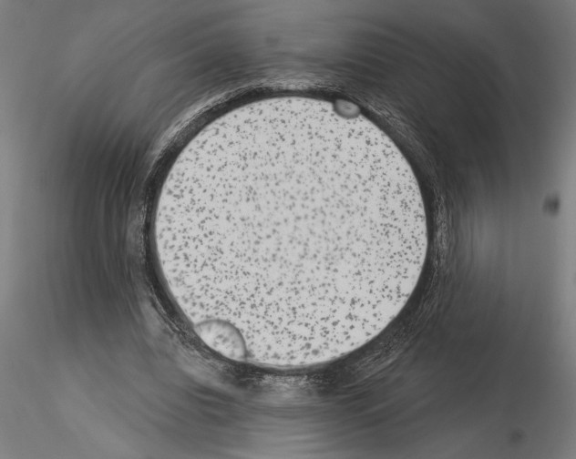 X0000115250440200912111120