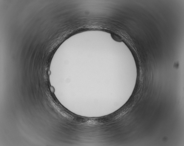 X0000115250441200912111120
