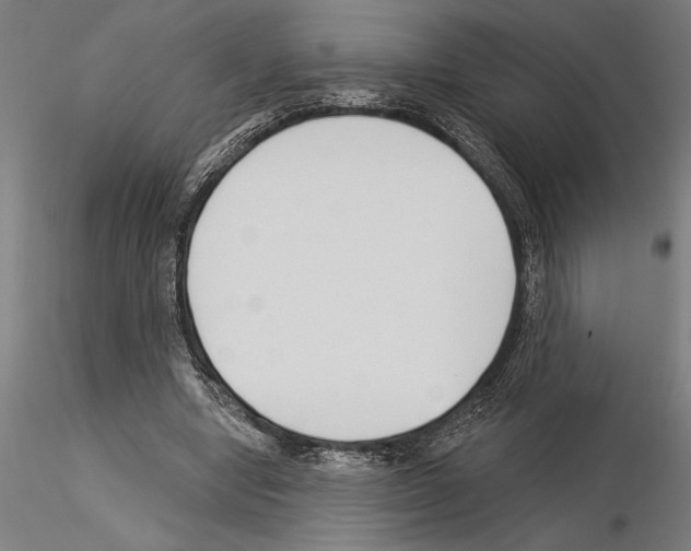 X0000115250442200912111120