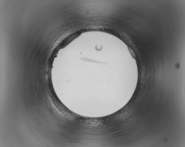 X0000115250443200912111120