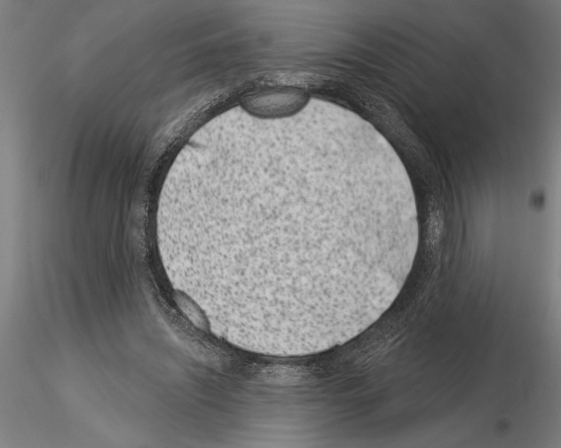 X0000115250444200912111120