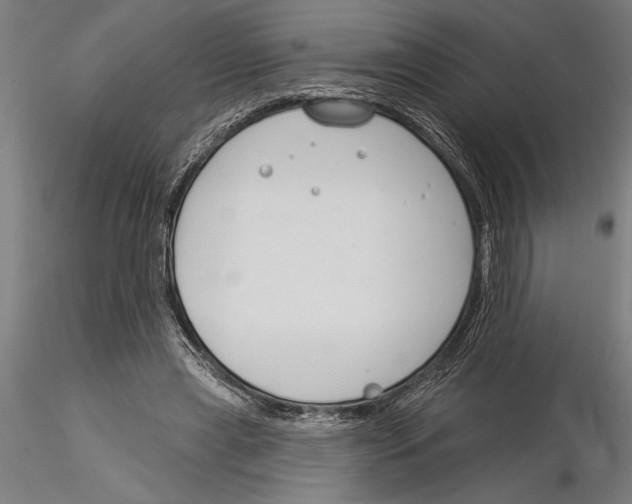 X0000115250445200912111120