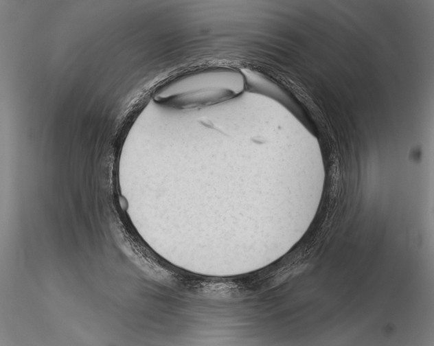 X0000115250446200912111120