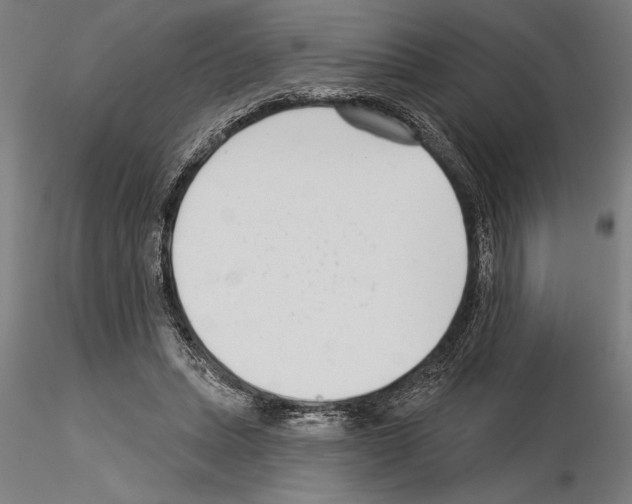 X0000115250447200912111121