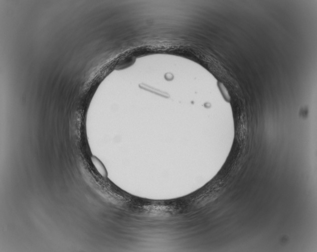 X0000115250448200912111121